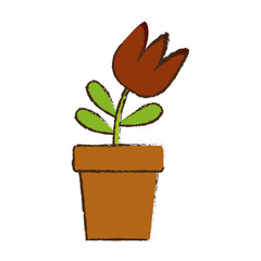 flower in a pot icon over white background colorful design vector illustration