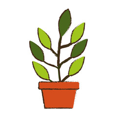 plant in pot icon over white background colorful design vector illustration