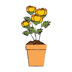 Beautiful ornamental flowers icon vector illustration graphic design