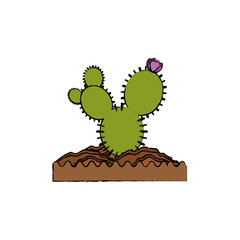 Cactus desert plant icon vector illustration graphic design