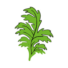 Plant nature ecology icon vector illustration graphic design