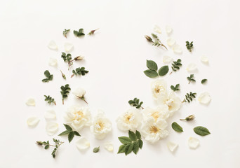 Obraz premium roses on white background
