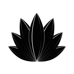 Plant nature ecology icon vector illustration graphic design