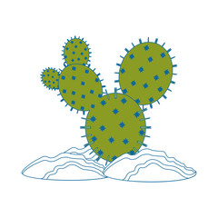 Cactus desert plant icon vector illustration graphic design