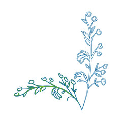 Beautiful ornamental flowers icon vector illustration graphic design