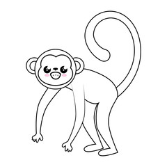 Monkey kawaii cartoon icon vector illustration graphic design