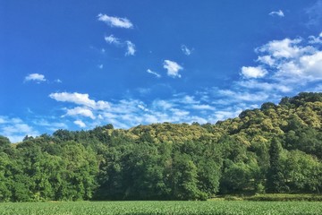 campo coltivato ai piedi di una boscosa collina