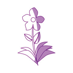Beautiful ornamental flowers icon vector illustration graphic design