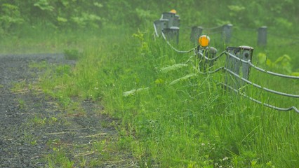 初夏の森　雨の峠道　古いガードレール