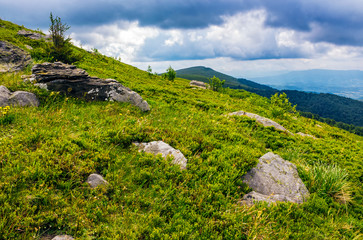 Carpathian mountain landscape