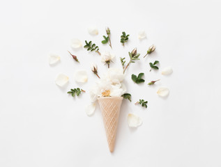 roses on white background