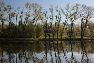 The nature of Belarus