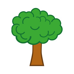 tree icon over white background colorful design vector illustration