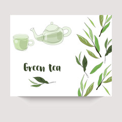 Vector green tea banner with tea leaves on white backgroud. Design for packaging, tea shop, drink menu, homeopathy and health care products.