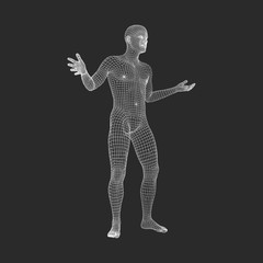Fototapeta na wymiar Man Stands on his Feet.3D Model of Man. Geometric Design. 3d Polygonal Covering Skin. Human Body Wire Model. Vector Illustration.