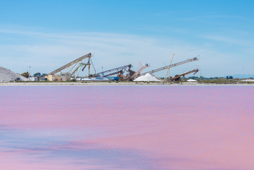 Aigues-Mortes, Salins du Midi, panorama with pink lake and cranes