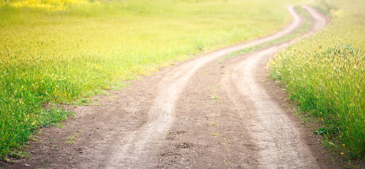 Field road in a field with beautiful yellow flowers. Summer vacation.