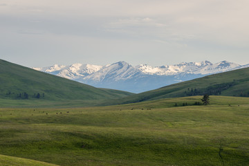 Wallowa Mountains of Oregon with lush green prairie in the foreground