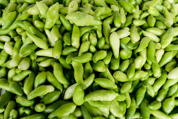 Bhutan