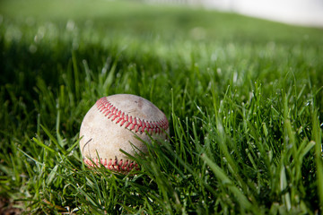 Baseball in green grass