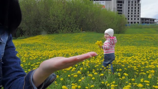 The child walks in the park and collects flowers, dandelions. Slow motion