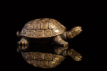 Tortoise bronze jewelry with a reflection on a black background