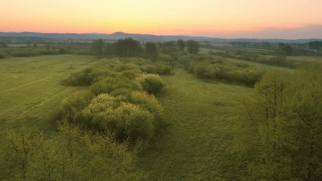 Total view from the top of the trees of a beautiful countryside seconds before sunrise in the summer.
