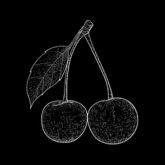 Cherry. Hand drawn outline sketch on black background