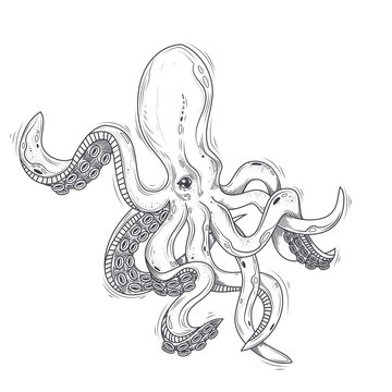 Vector illustration of an octopus painted in an engraving style isolated on white. Print octopus vulgaris for T-shirts, template, sketch tattoo, design element