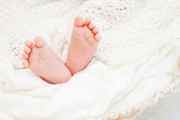 Close up picture of new born baby feet on knitted plaid.  Happy Family concept. Fineart picture