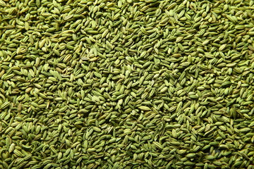 Organic caraway seed texture.