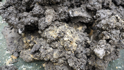 SOIL