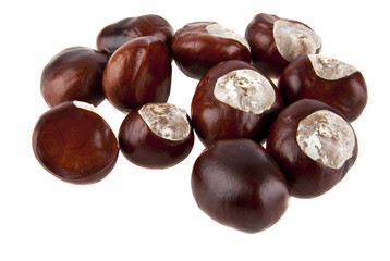 chestnuts