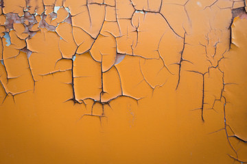 colorful rusted paint sections on old cars