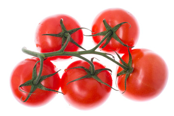 Branch with red ripe tomatoes, isolated on white background