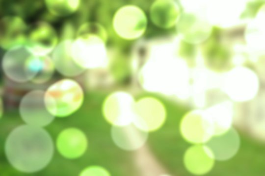 Blur natural, abstract green bokeh and light background the park