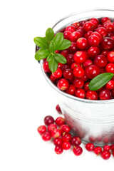cowberries in a bucket isolated on white