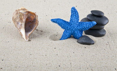 Fototapeta na wymiar blue starfish, shells and stones