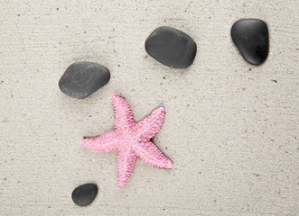 Fototapeta na wymiar pink starfish and stones