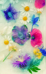 Abstract background of frozen flowers