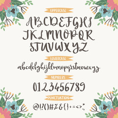 Calligraphic vector font with floral nature numbers ampersand and symbols flower hand drawn alphabet lettering