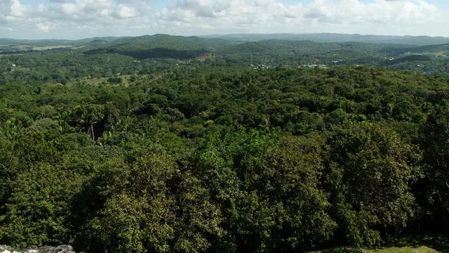 Elevated view of the jungle from temple El Castillo at Xunantunich archaeological site in Belize