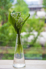 Lilies of the valley in spring. Beautiful bouquet of flowers may-lily
