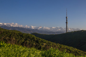 Obraz premium Kok Tobe hill and mountains view in spring, Almaty, Kazakhstan