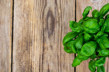Young green basil on an old wooden table