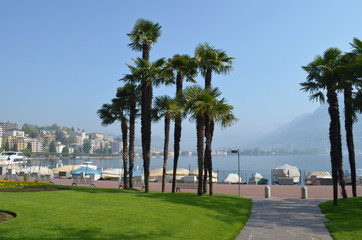 Fototapeta na wymiar Palmen Lugano