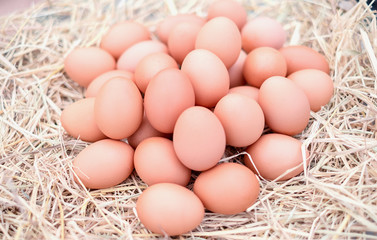Good quality chicken eggs in local farms with straw on blur green nature background. Fresh, suitable for cooking. Close-up and blur.