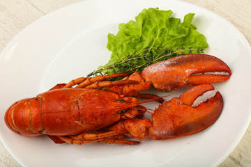 Lobster