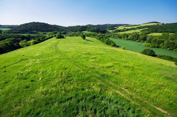 Obraz premium Field way across the pasture.