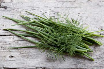 bunch of fresh dill and bow-feather on tho old wood